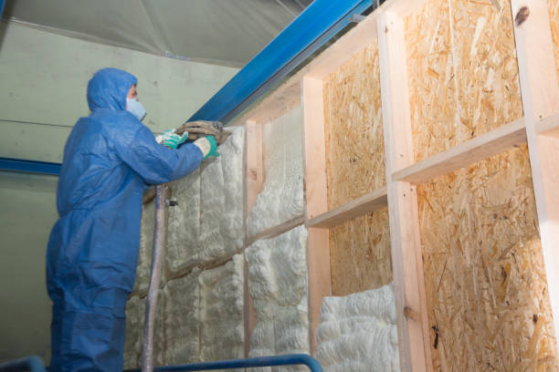 Best Insulation Contractor Near Me  in , NC